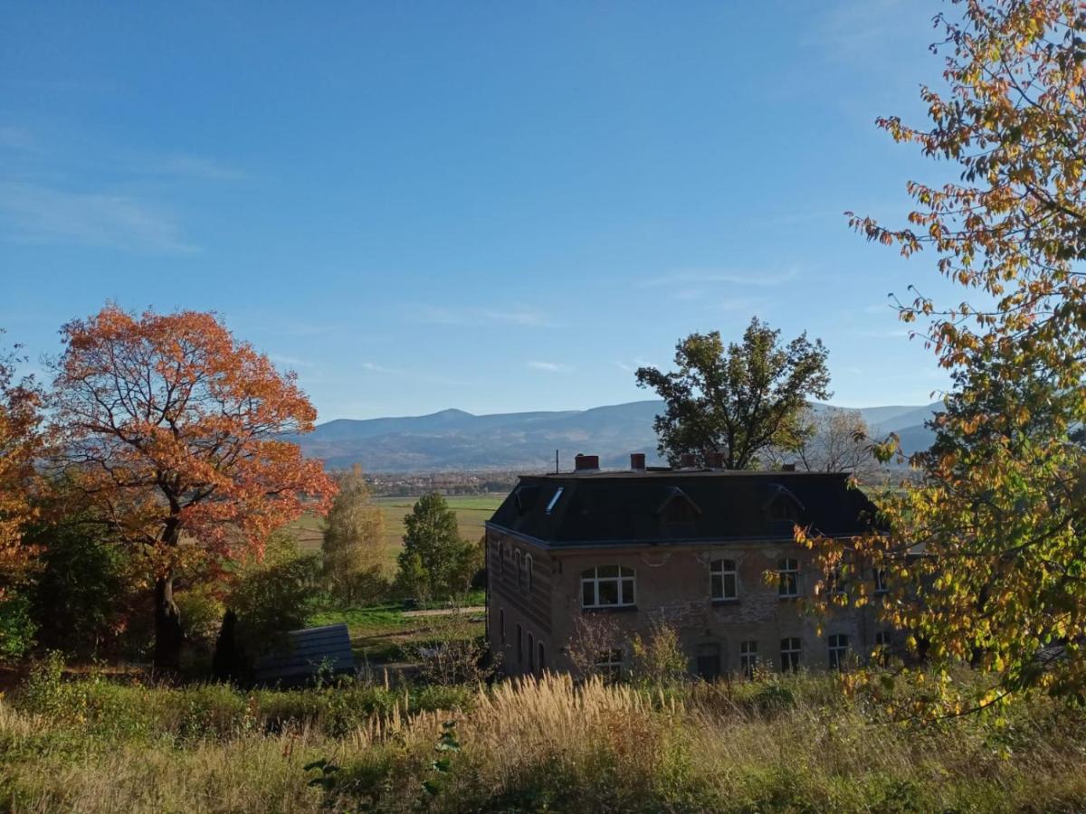 Sunny Bear Bed & Breakfast Jelení Hora Exteriér fotografie